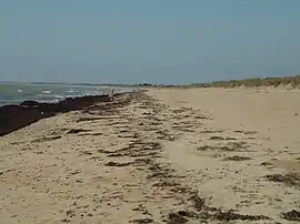 La Braie beach, in Notre-Dame-de-Monts