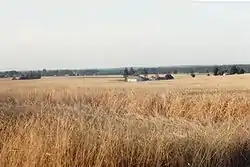 View of a fragment of the village of Nowy Dwór-Parcela