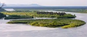 Nushagak River in Southwest Alaska