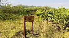 Nyandungu Urban Wetland Eco-Tourism Park medicinal garden 01