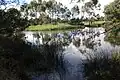 David Street wetland in southern O'Connor