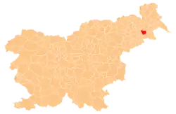 Location of the Municipality of Sveti Tomaž in Slovenia