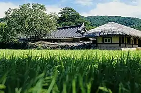 Village with traditional thatched-roof houses