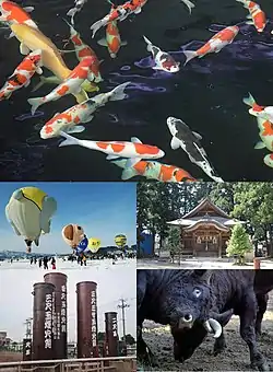 From top left: Nishikigoi carps in Ojiya Nishikigoi no sato, Ojiya Balloon Revolt, Uonuma Shrine, Katakai Fireworks Festival, Bull Fighting