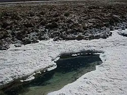 Green pond surrounded by white outcrop