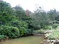 A pond in Okinawa