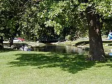 A stream of water surrounded by trees