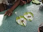 Areca nut in Paan preparation, Myanmar