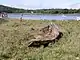 Old wreck at Hook Colliery Quay