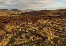 Hilly terrain, "gorse and heather"