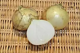 Food storage leaves in an onion bulb