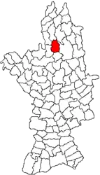 Location in Olt County