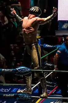 Oro Jr. posing on the turnbuckle in 2013