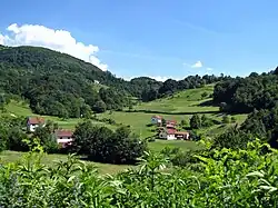 View of Osojnica