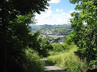 View of Cayey Pueblo from Monte Llano