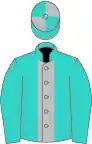 Turquoise, silver stripe, quartered cap