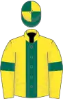 Yellow, dark green stripe and armlets, dark green and yellow quartered cap