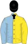 Yellow and Royal Blue (halved horizontally), Blue sleeves, black cap