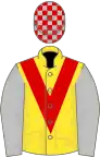 Yellow, red chevron, silver sleeves, yellow stripe, silver and red checked cap