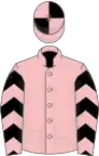 Pink, black chevrons on sleeves, quartered cap