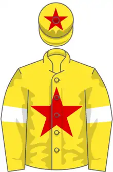 Yellow, red star, yellow sleeves and white armlet, yellow cap and red star