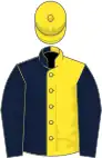 Dark blue and yellow halved, dark blue sleeves, yellow cap