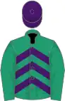 Emerald green, purple chevrons, emerald green sleeves, purple cap