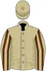 Beige, brown striped sleeves