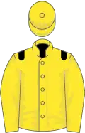 Yellow, black epaulettes, yellow cap