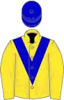 Yellow, blue chevron, yellow sleeves, blue cap