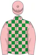 Pink and green check, pink sleeves and cap