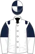 WHITE, dark blue epaulettes, dark blue and white halved sleeves, dark blue and white quartered cap