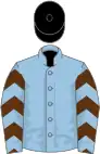 Light blue, brown chevrons on sleeves, black cap