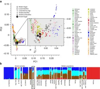 PCA and ADMIXTURE analysis of three ancient Egyptian samples and other modern and ancient populations.