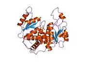 1ep9: HUMAN ORNITHINE TRANSCARBAMYLASE: CRYSTALLOGRAPHIC INSIGHTS INTO SUBSTRATE RECOGNITION AND CONFORMATIONAL CHANGE