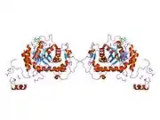 1nfb: Ternary complex of the human type II Inosine Monophosphate Dedhydrogenase with 6Cl-IMP and NAD