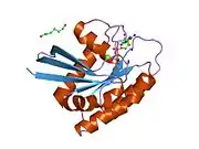 1p2v: H-RAS 166 in 60 % 1,6 hexanediol