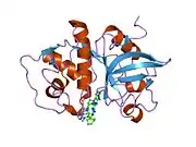 1u9x: Crystal Structure of the Cysteine Protease Human Cathepsin K in Complex with the Covalent Inhibitor NVP-ABJ688