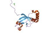 1xw3: Crystal Structure of Human Sulfiredoxin (Srx)