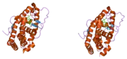 1y9r: Crystal structure of the human mineralocorticoid receptor ligand-binding domain bound to deoxycorticosterone and harboring the S810L mutation responsible for a severe form of hypertension