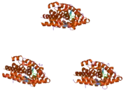 1ya3: Crystal structure of the human mineralocorticoid receptor ligand-binding domain bound to progesterone and harboring the S810L mutation responsible for a severe form of hypertension