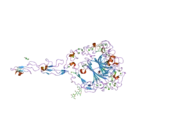 1yo8: Strucuture of the C-terminal domain of human thrombospondin-2