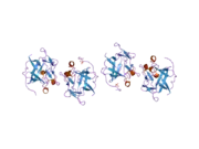 1z4s: Crystal Structure of Gly19 and Glu60 deletion mutant of Human Acidic Fibroblast Growth Factor