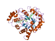 1zua: Crystal Structure Of AKR1B10 Complexed With NADP+ And Tolrestat