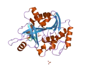 2a0x: Structure of human purine nucleoside phosphorylase H257F mutant