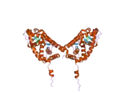 2aa5: Mineralocorticoid Receptor with Bound Progesterone