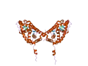 2aax: Mineralocorticoid Receptor Double Mutant with Bound Cortisone