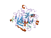 2bxu: DESIGN AND DISCOVERY OF NOVEL, POTENT THROMBIN INHIBITORS WITH A SOLUBILIZING CATIONIC P1-P2-LINKER