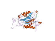 2cnn: CRYSTAL STRUCTURES OF CASPASE-3 IN COMPLEX WITH AZA-PEPTIDE EPOXIDE INHIBITORS.