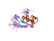 2cqm: Solution structure of the mitochondrial ribosomal protein L17 isolog